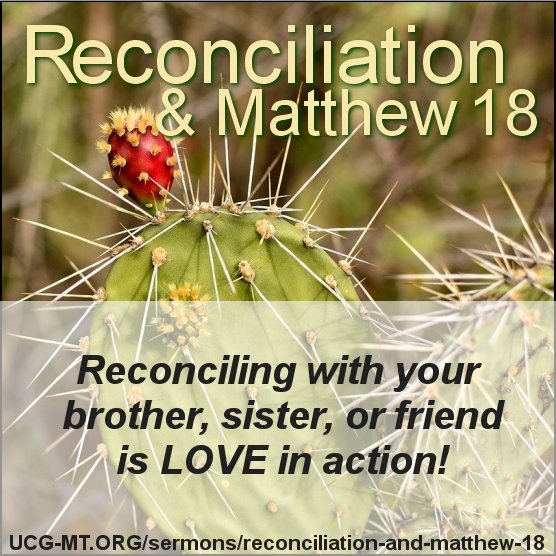 Reconciliaiton-Matthew18-LoveInAction-cactus-7718664-556x556